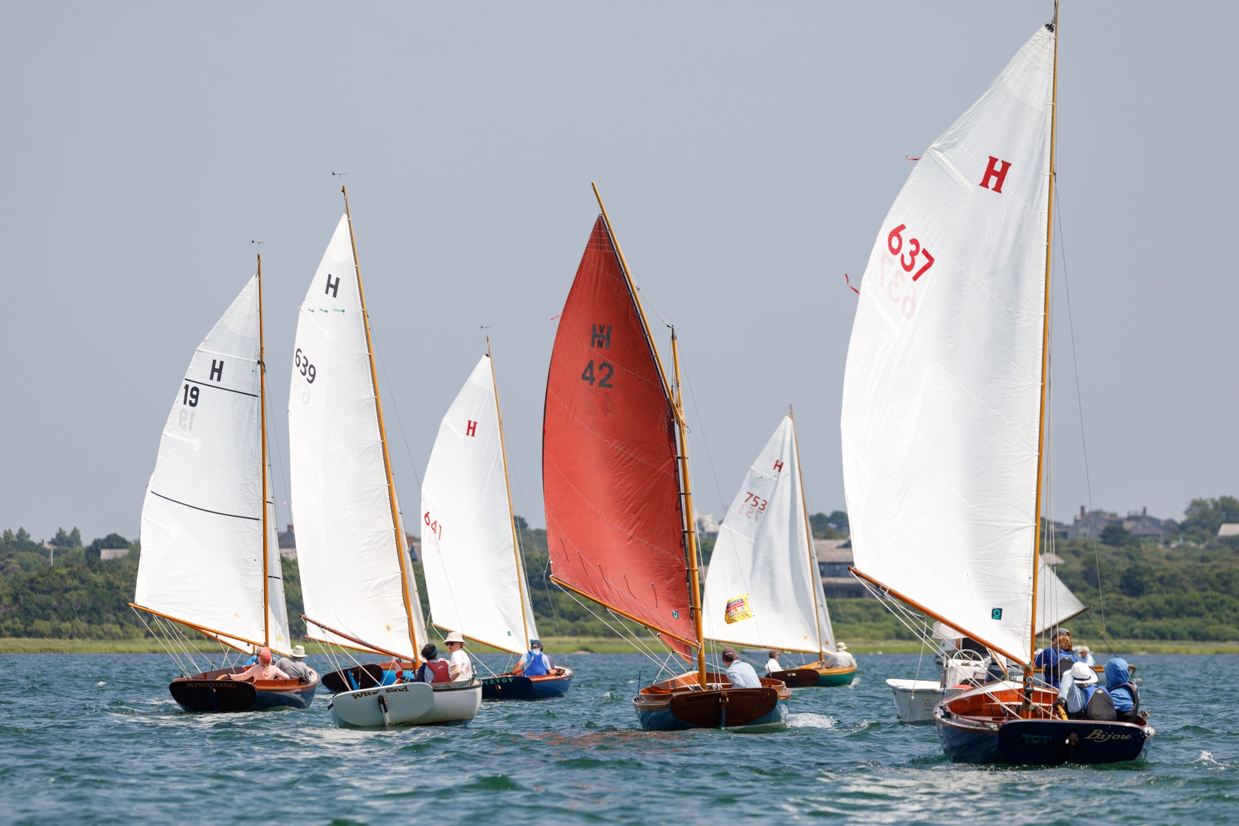 Sailboats with different colored sails on a body of water